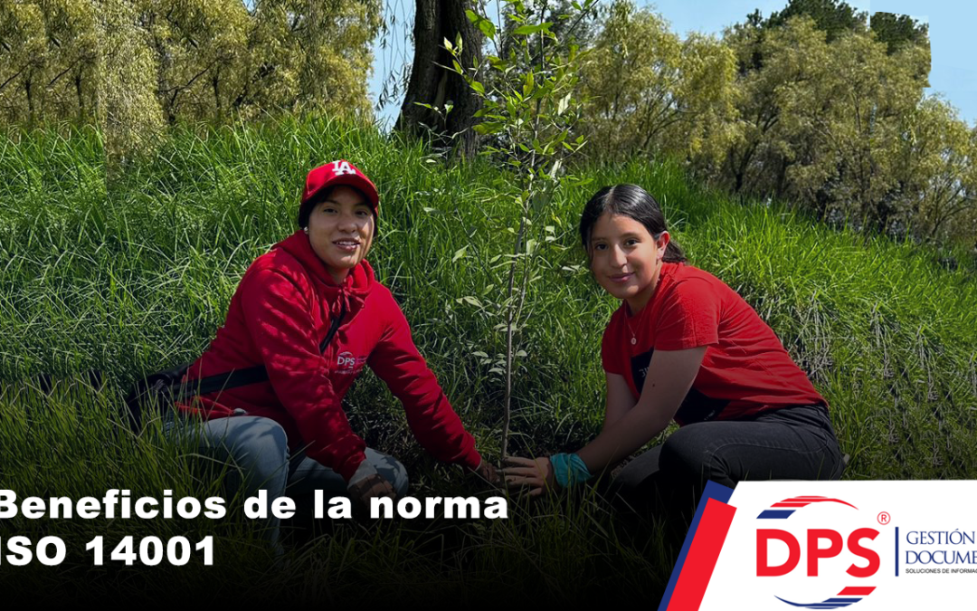 Beneficios de la norma ISO 14001