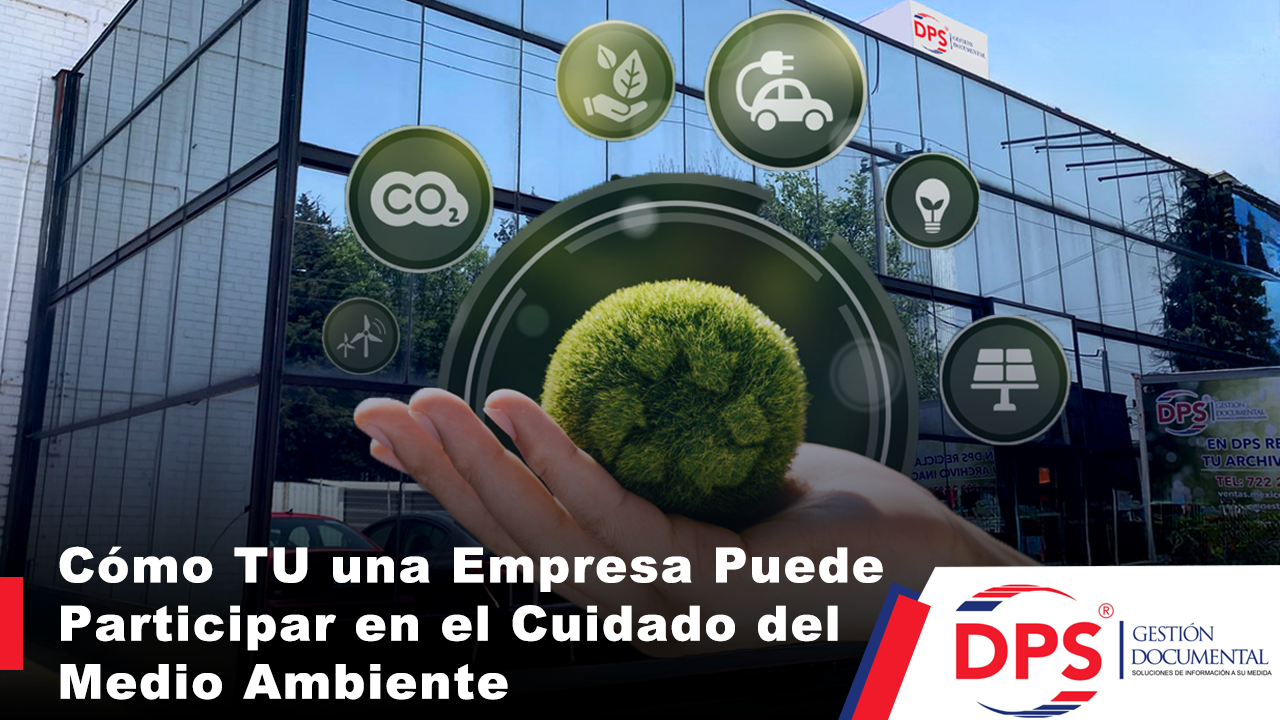 5 Formas en que tu Empresa Puede Proteger el Medio Ambiente